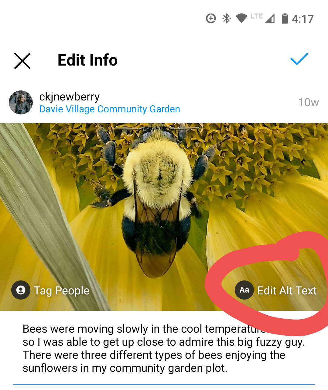 سئو پیج اینستاگرام