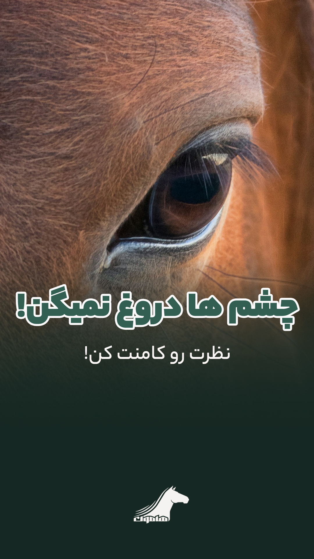 نمونه کارو ریلز اینستاگرام